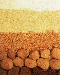 SOYA KIYMASI NEDİR ?